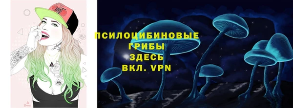 мет Алексин