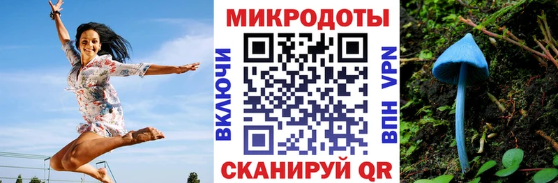 Галлюциногенные грибы прущие грибы KRAKEN ссылка Холм